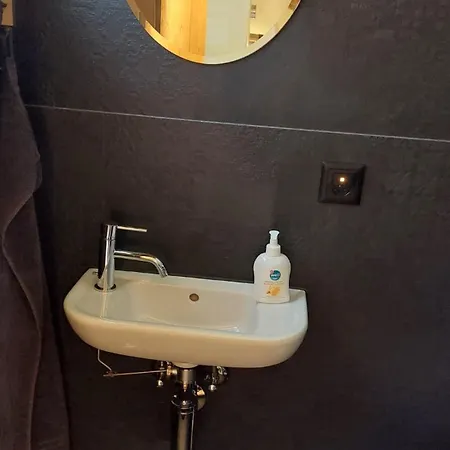 Top-notch Gstaad With Supreme Interior Vakantiehuis *