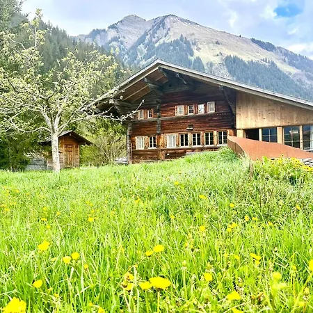 Top-notch Gstaad With Supreme Interior *