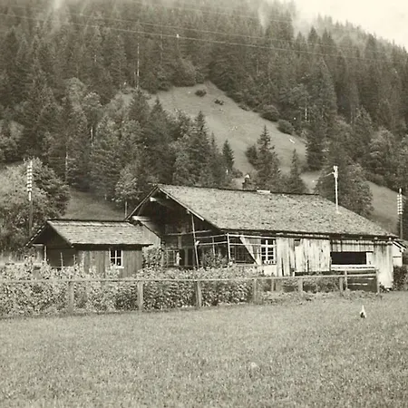 Top-notch Gstaad With Supreme Interior Vakantiehuis