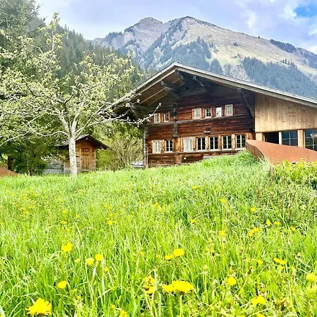 Top-notch Gstaad With Supreme Interior Holiday home *