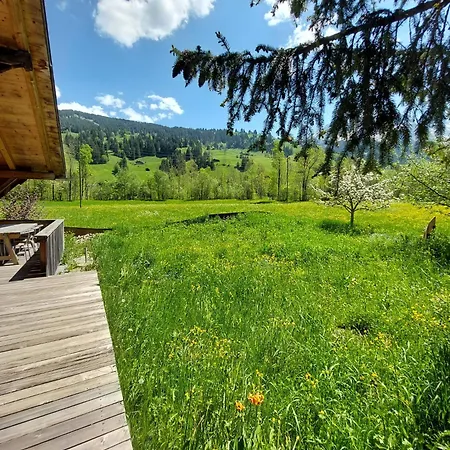 Top-notch Gstaad With Supreme Interior Vakantiehuis