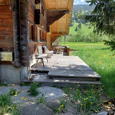 Top-notch Gstaad With Supreme Interior * Gsteig