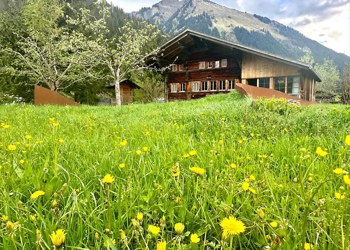 Top-notch Gstaad With Supreme Interior 펜션 그체이