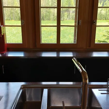 Dom wakacyjny Top-notch Gstaad With Supreme Interior Gsteig